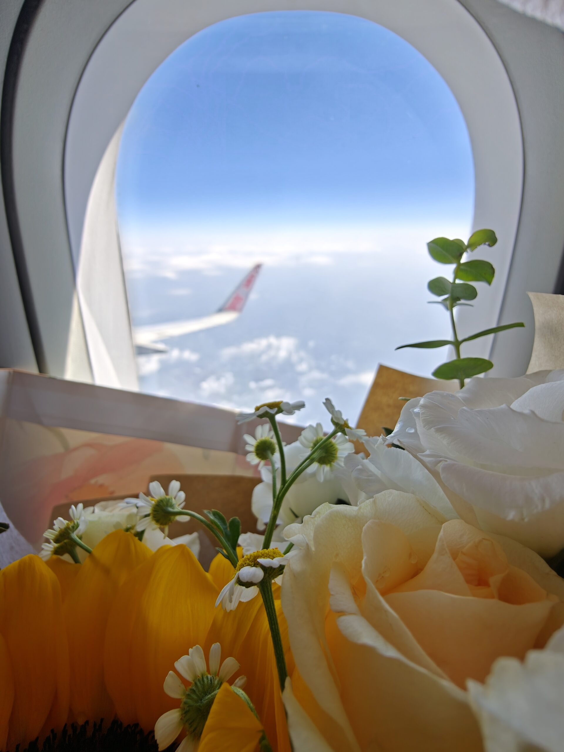 2025.5.9 成都➡️宁波