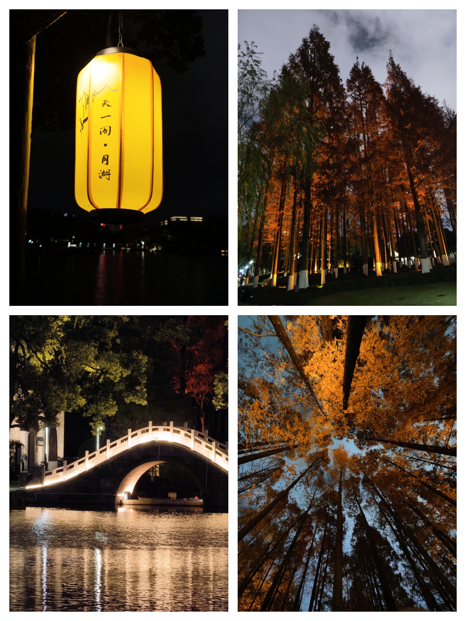 2025.12.21 在月湖公园